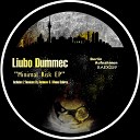 Liubo Dummec - Minimal Risk Original Mix