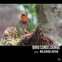 Bird Song Lounge feat Wild Bird Japan - Japanese Robin Original Mix