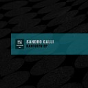 Sandro Galli - Run Original Mix
