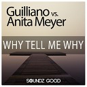 Anita Meyer Guilliano feat Miami Inc - Why Tell Me Why Re Fuge Radio Edit