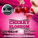 Christian Zechner Serenity - Cherry Blossom DJ Trashy Kid Prophet Remix