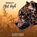 Wrigley - I Get High Radio Edit