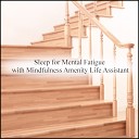 Mindfulness Amenity Life Assistant - Limestone Coping Skills Original Mix
