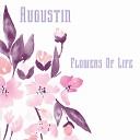 Augustin - Flowers Of Life Original Mix