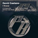 David Caetano - I Know Deep Code Remix