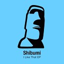 Shibumi - I Like That Original Mix