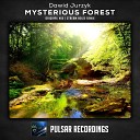 Dawid Jurzyk - Mysterious Forest Stream Noize Remix