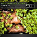 Halvy Nico Luss Curva - Swarm Original Mix