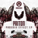 Paiton - Depress It