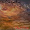 Gnifrus Carlos - Despair