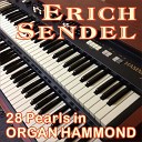 Erich Sendel - Medley Amor Amor Amor Cu Cu Rru Cu Cu Paloma Ave Mar a No…