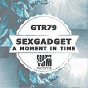 Sexgadget - A Moment In Time Original Mix