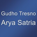 Gudho Tresno - Arya Satria