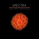 Spectra feat Oceanically - Coral