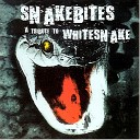 Whitesnake - Slow An Easy Bonus Track