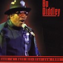 Bo Diddley - Hey Bo Diddley