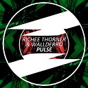 Richee Thorner Wallderro - Pulse Original Mix