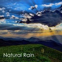 Spa Sounds Of Nature Thunderstorm Rain White Noise… - Perfect Gentle Rain