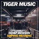 Deniz Jackson - Sipping Meaning Steve Montana Remix