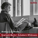Andrea Lucchesini - Sonata in D Major K 491