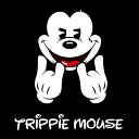 Trippie Mouse - Holding