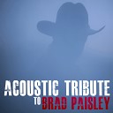 Guitar Tribute Players - Whiskey Lullaby Instrumental