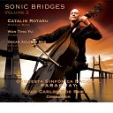Oscar Aguilar Mas Catalin Rotaru - Sinfonia Concertante in E Flat Major K 364 I Allegro…