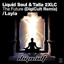 DigiCult - Layla Original Mix
