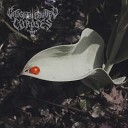 Brightly Painted Corpses - A Shriveled Seed