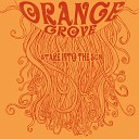 The Orange Grove - Bonus Track When the Sun Hits the Water