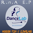 R n A - Wooden Fish Original Mix