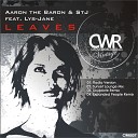 Aaron The Baron STJ feat Lys Jane - Leaves Sunset Lounge Remix