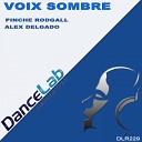 Pinche Rodgall Alex Delgado - Voix Sombre Original Mix