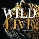 Vitor Salgueiral - Wild Live