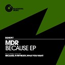 Mdr - What You Want Original Mix
