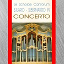 Scholae Cantorum S Ilario S Bernardo - O tannenbaum
