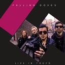 Falling Doves - Paris