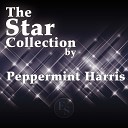 Peppermint Harris - I Want to See You Baby Original Mix