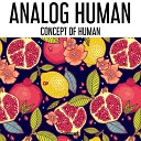 Analog Human - Celestial