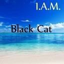 I A M - Black Cat Original Mix