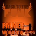 Palmer Woodrow - I Wanna Be With You DJamSinclar Remix