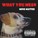 Mind Master - What You Mean