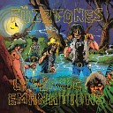 The Fuzztones - Just Once Remastered