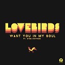 Lovebirds feat Stee Downes - Want You In My Soul Illyus Barrientos Remix
