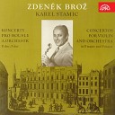 Dvořák Chamber Orchestra, František Vajnar, Zdeněk Brož - Concerto for Violin and Orchestra No. 2 in F Major: I. Allegro