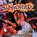 Aborted - The Sanctification Of Fornication