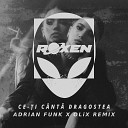 Roxen - Ce i C nt Dragostea Adrian Funk X Olix Remix
