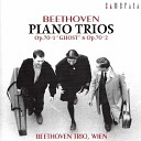 Beethoven Trio Wien - Trio for Piano Violin and Cello in E Flat Major Op 70 No 2 I Poco sostenuto Allegro ma non…