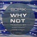 Sopik - Why Not Original Mix