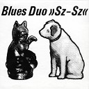 Blues Duo - Make Me a Pallet on Your Floor
